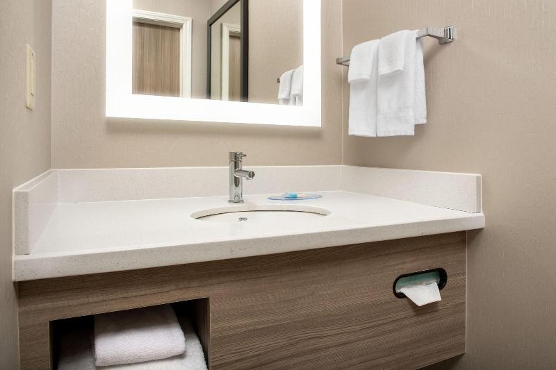 스위트, Springhill Suites By Marriott Atlanta Buford/mall Of Georgia