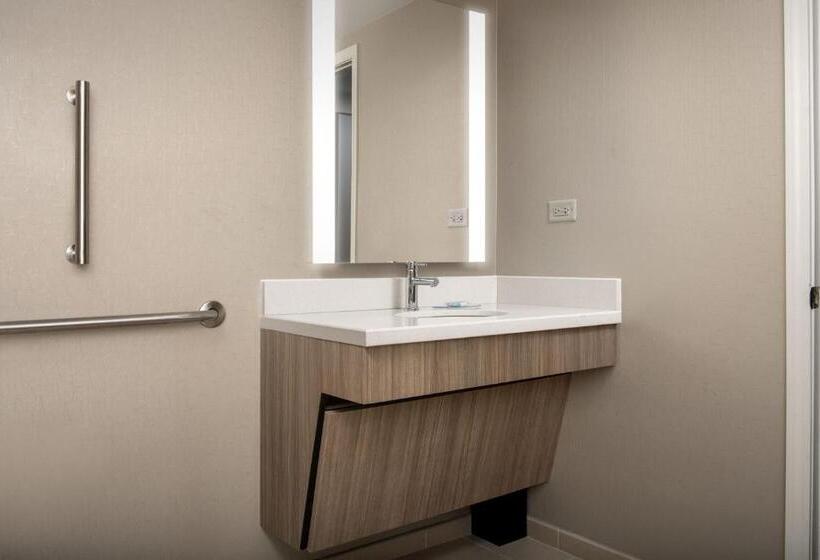 스위트, Springhill Suites By Marriott Atlanta Buford/mall Of Georgia