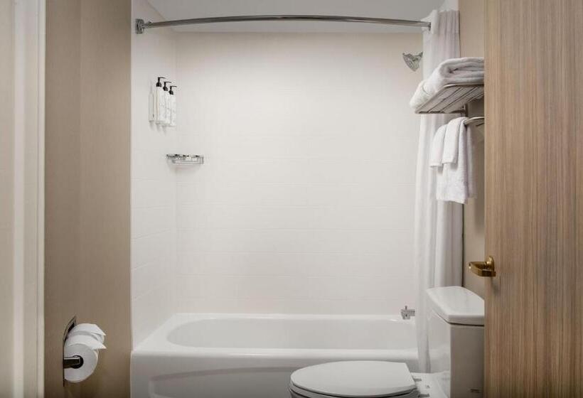 스위트 킹사이즈 침대, Springhill Suites By Marriott Atlanta Buford/mall Of Georgia