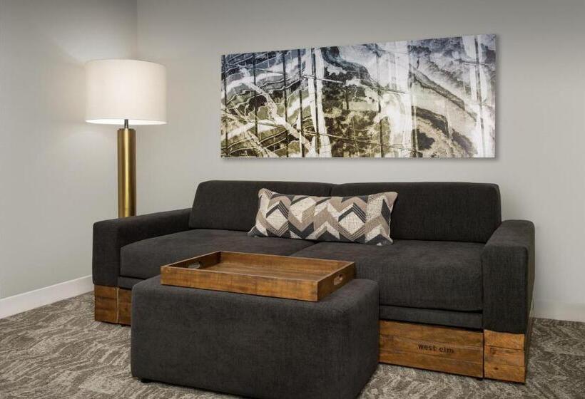 스탠다드 룸, Springhill Suites By Marriott Atlanta Buford/mall Of Georgia