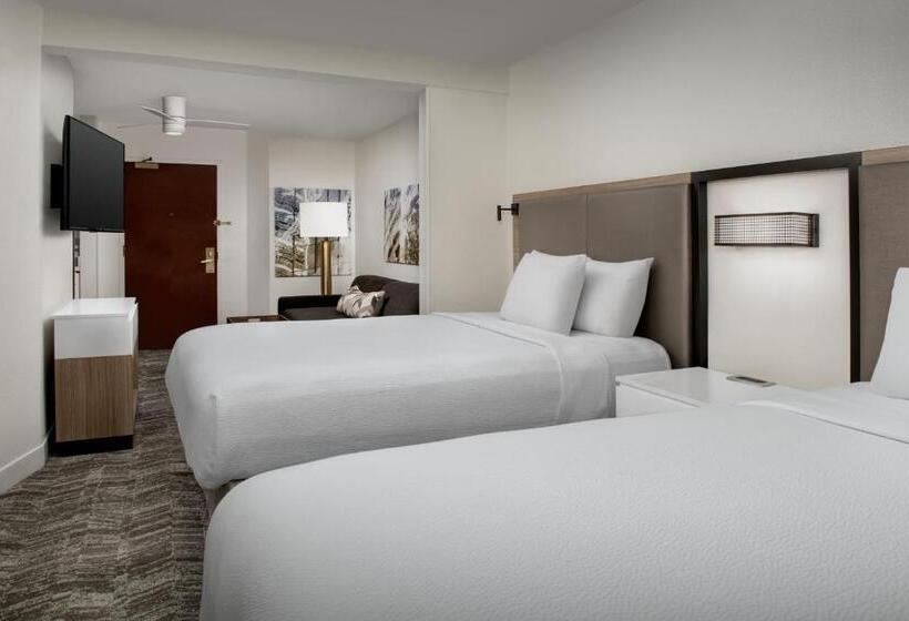 스탠다드 룸, Springhill Suites By Marriott Atlanta Buford/mall Of Georgia