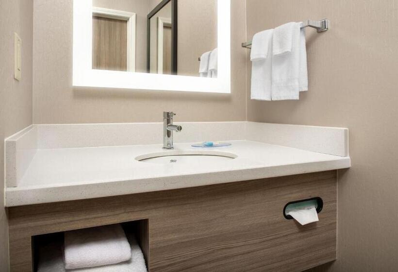 스탠다드 룸 킹사이즈 침대, Springhill Suites By Marriott Atlanta Buford/mall Of Georgia