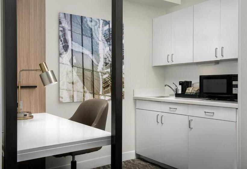 스탠다드 룸 킹사이즈 침대, Springhill Suites By Marriott Atlanta Buford/mall Of Georgia