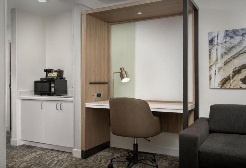장애인을 위한 스위트, Springhill Suites By Marriott Atlanta Buford/mall Of Georgia