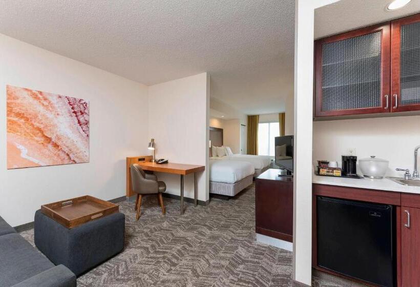 Люкс, Springhill Suites Grand Rapids North