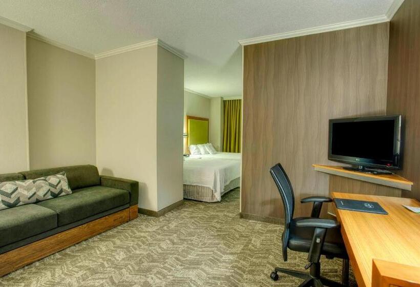 Люкс Кровать Кинг, Springhill Suites By Marriott Lawrence Downtown