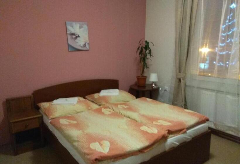 标准间, Lidový Dům