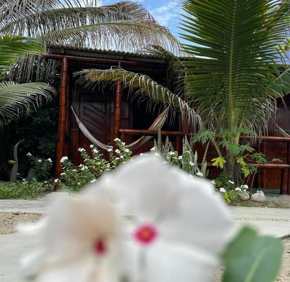 اتاق استاندارد با چشم‌انداز باغ, Un Dia Boutique Resort