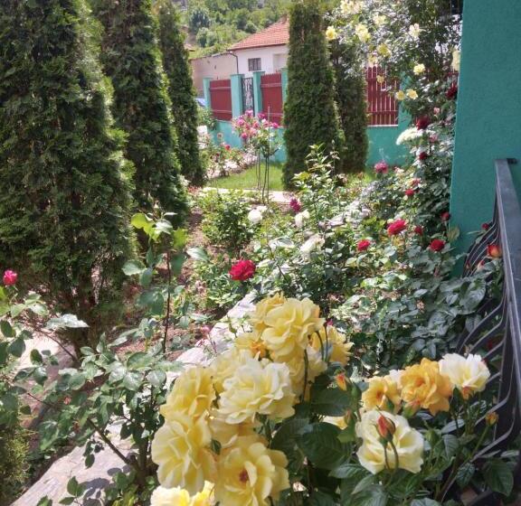 اتاق سوپریور, Casa Lucian