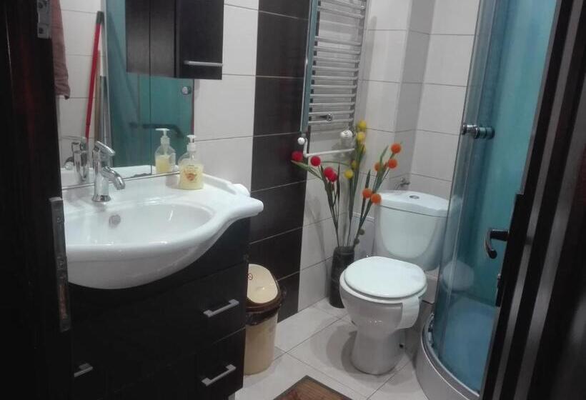 Студия Стандарт, Casa De Vacanta Silvia Varmaga