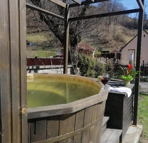 Студия Стандарт, Casa De Vacanta Silvia Varmaga