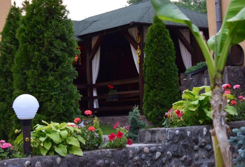 Номер Стандарт Совместная Ванная, Casa De Vacanta Silvia Varmaga