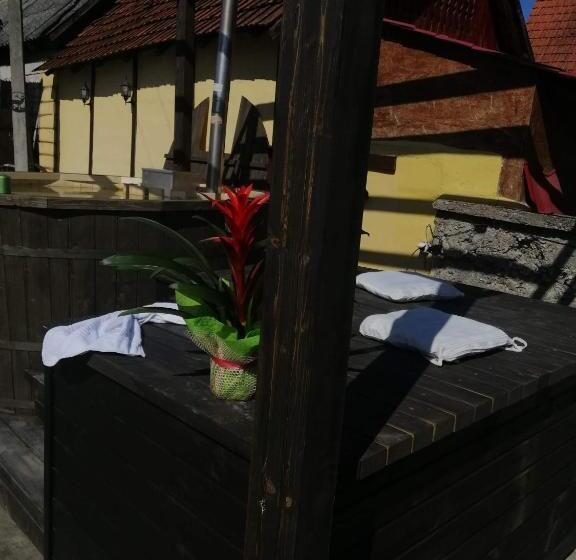 Дом 1 Спальня, Casa De Vacanta Silvia Varmaga