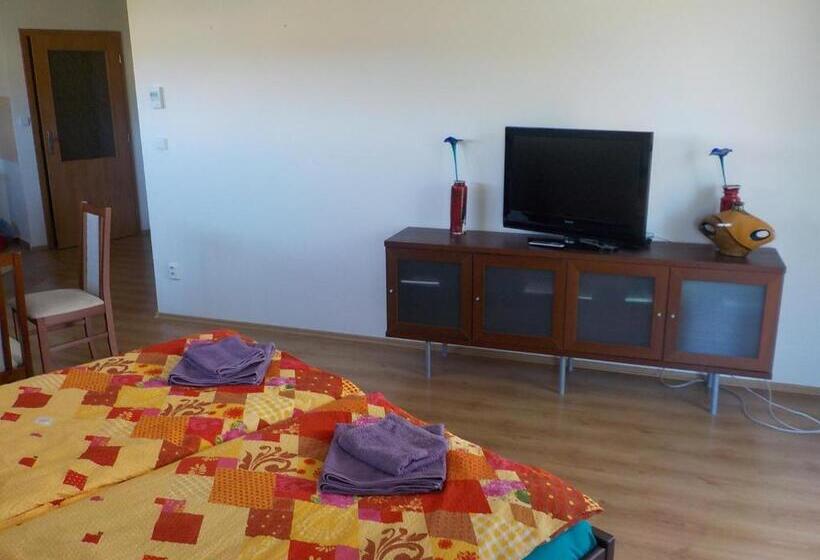 バルコニー付きスタンダードステューディオ, Guest House Beroun