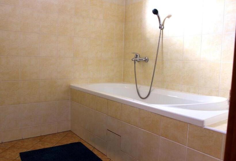 ３ベッドルームハウス, Guest House Beroun