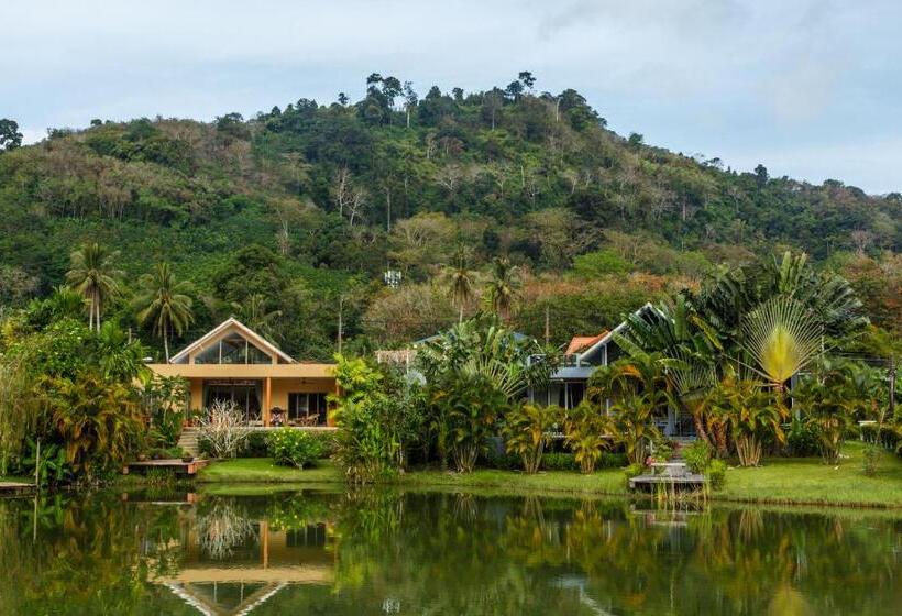 Номер Стандарт Индивидуальный, Thelifeco Wellbeing Phuket Detox Center And Vegan Hotel   Sha Plus