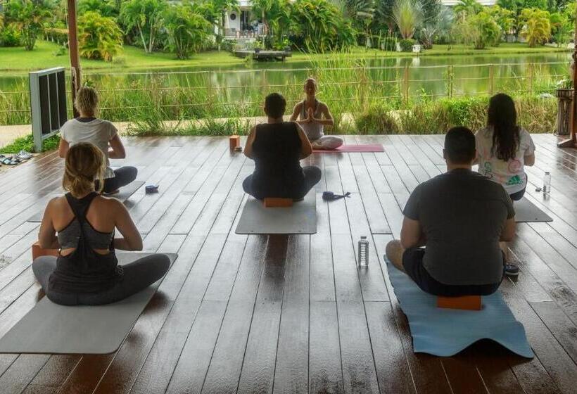 Номер Deluxe Одноместный, Thelifeco Wellbeing Phuket Detox Center And Vegan Hotel   Sha Plus