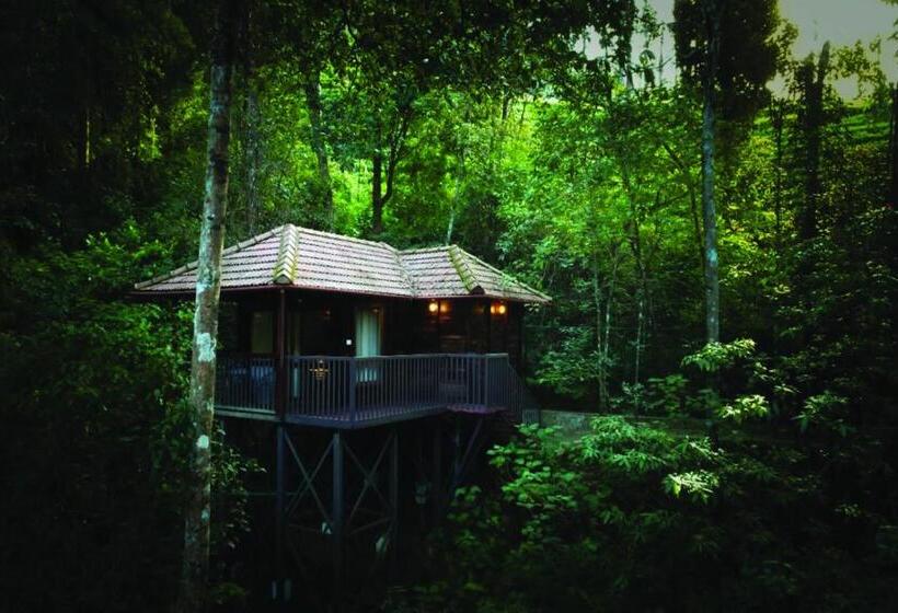 Номер Стандарт, Wild Planet Jungle Resort