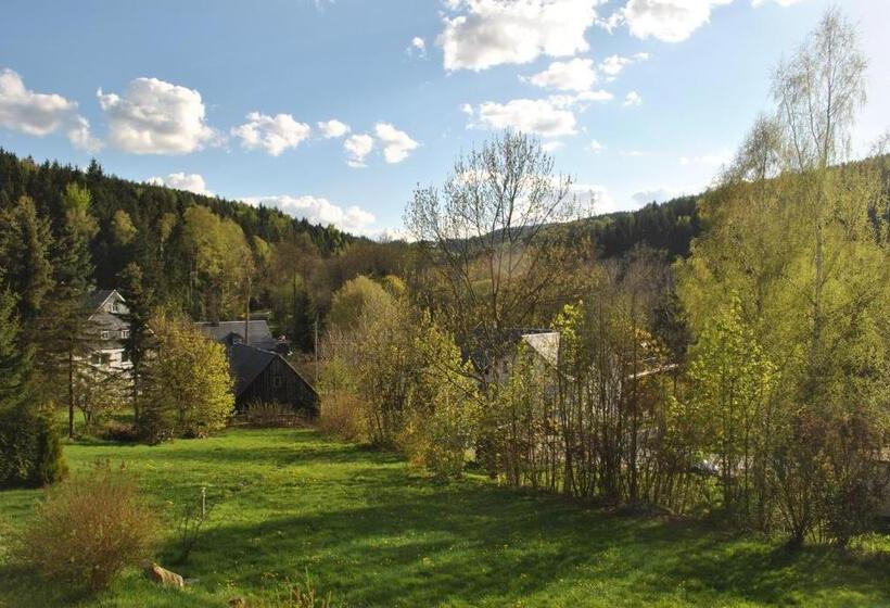 Апартаменты 1 Спальня, Gasthof & Pension Brettmühle