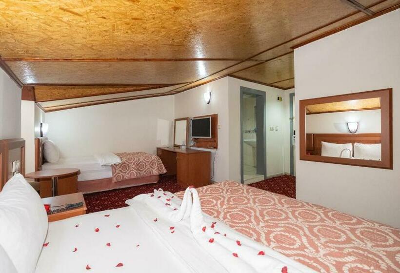经济型三人房间, Ancere Thermal Hotel & Spa