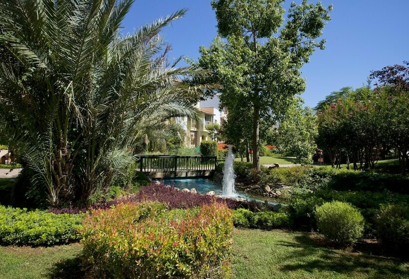 Номер Economy, Limak Arcadia Sport Resort Belek