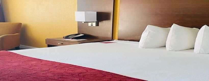 ２ベッドスイートルーム, Ramada By Wyndham Tampa Westshore Airport South