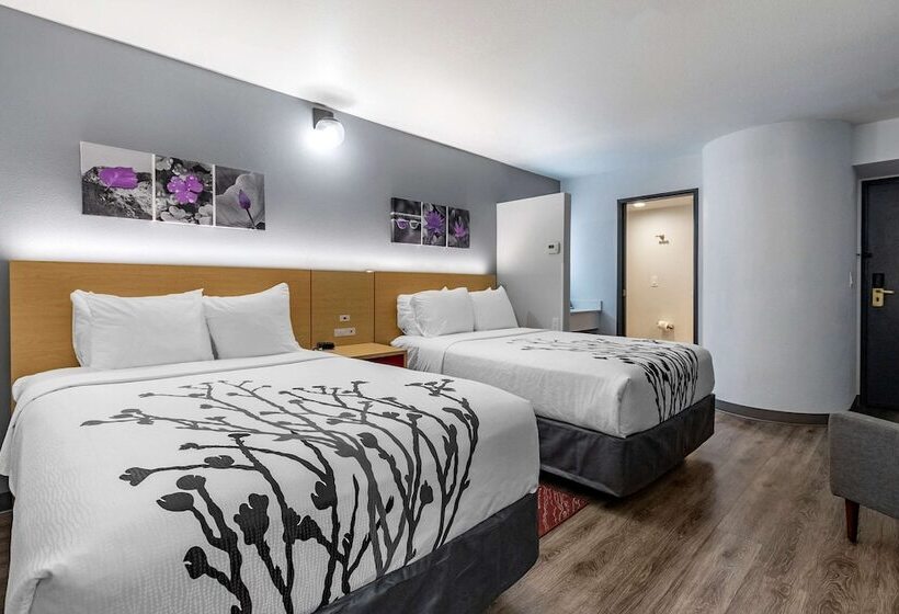 Номер Стандарт 2 Двуспальные Кровати, Sleep Inn & Suites