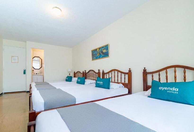 4인용 스탠다드 룸, Ayenda Casa Hostal Del Norte