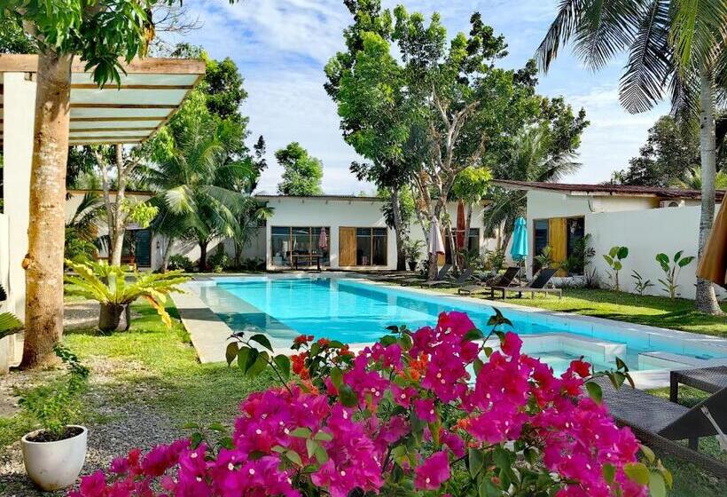 패밀리 룸, Island World Panglao