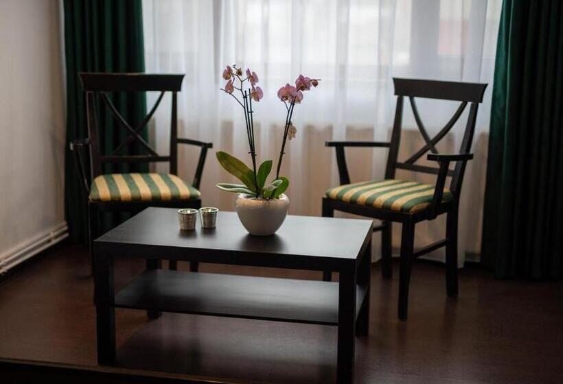 Студия Стандарт, Escala Rooms