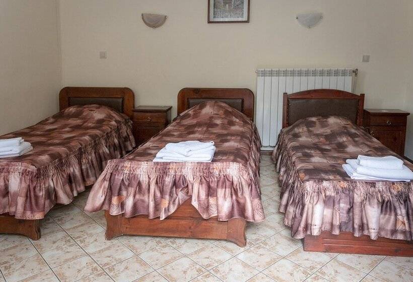 Номер Стандарт Трехместный, Medic Hotel