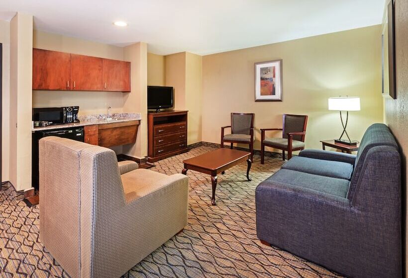 Suite, Holiday Inn Express Hotel & Suites Houston Downtown Convention Center, An Ihg