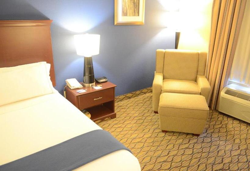 Chambre Standard Lit King Size Adaptée aux Personnes à Mobilité Réduite, Holiday Inn Express Hotel & Suites Houston Downtown Convention Center, An Ihg