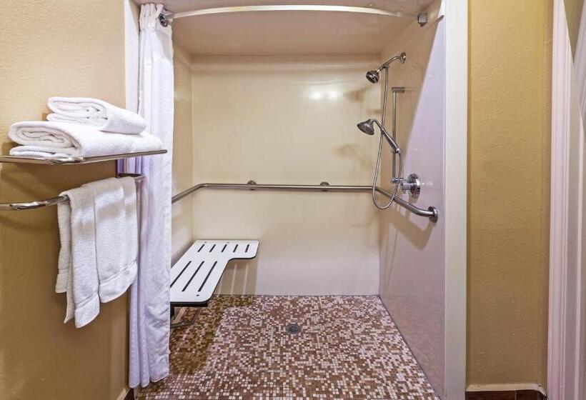 Chambre Standard Adaptée aux Personnes à Mobilité Réduite, Holiday Inn Express Hotel & Suites Houston Downtown Convention Center, An Ihg