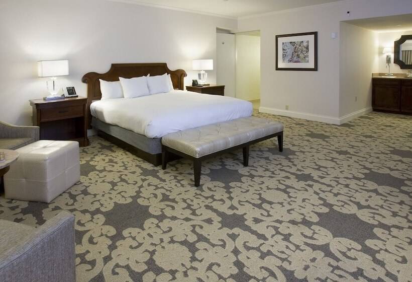 Люкс, Hilton New Orleans Riverside