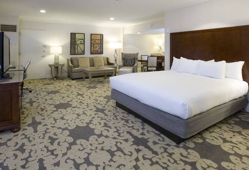 Студия Стандарт Двуспальная Кровать, Hilton New Orleans Riverside