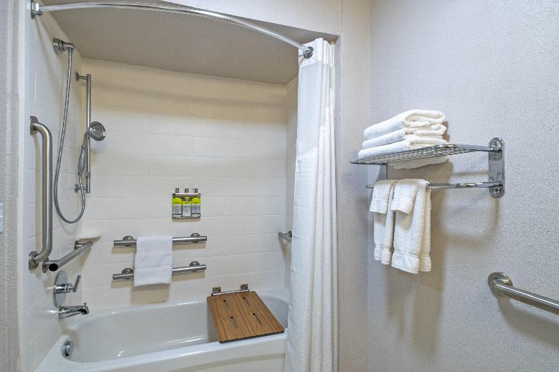 Номер Стандарт Кровать Кинг Адаптированный для Инвалидов, Holiday Inn Express Hotel & Suites Woodbridge, An Ihg