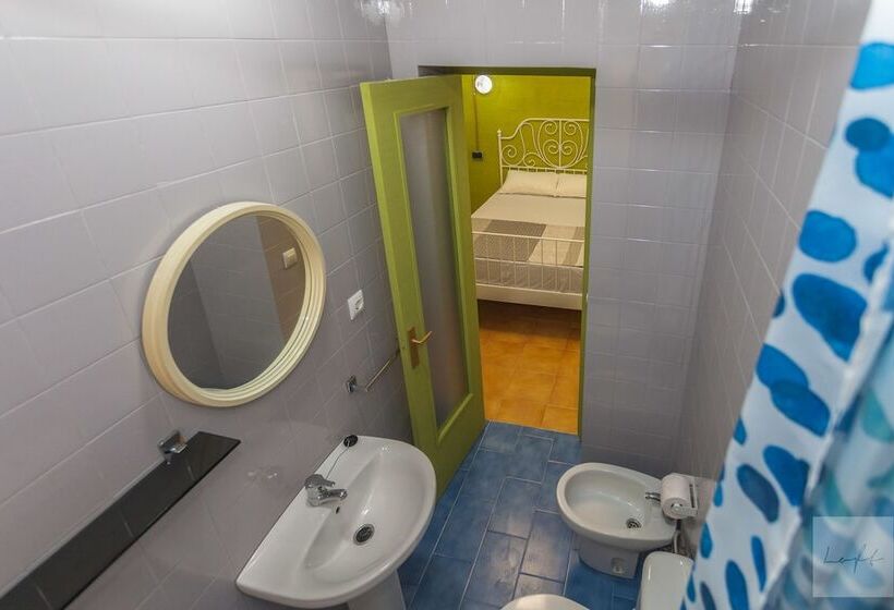 スタンダードルーム, Loft Hostal Group