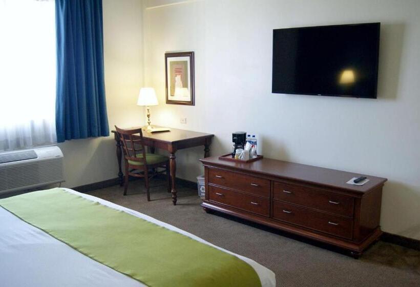 キングサイズベッドのスタンダードルーム, Best Western Plus Los Mochis