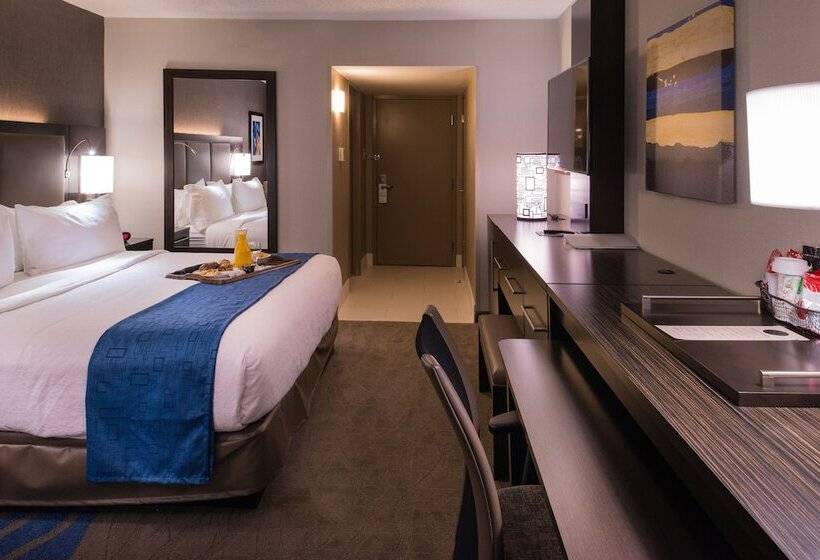 标准间, Holiday Inn St Louis Downtown/convention Center, An Ihg