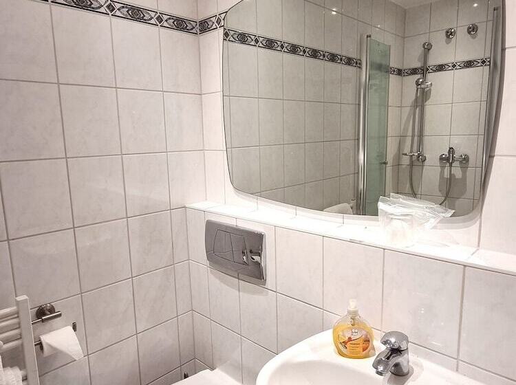 스탠다드 룸, Adler Hotel Frankfurt