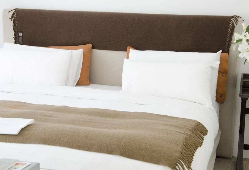 سوییت اجرایی, Design Ce   Hotel Boutique De Diseño