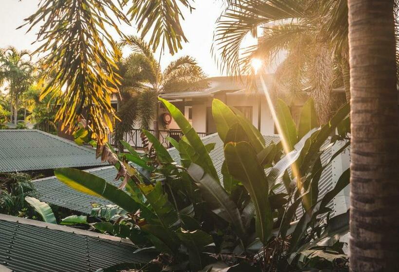 스탠다드 룸, Palms City Resort