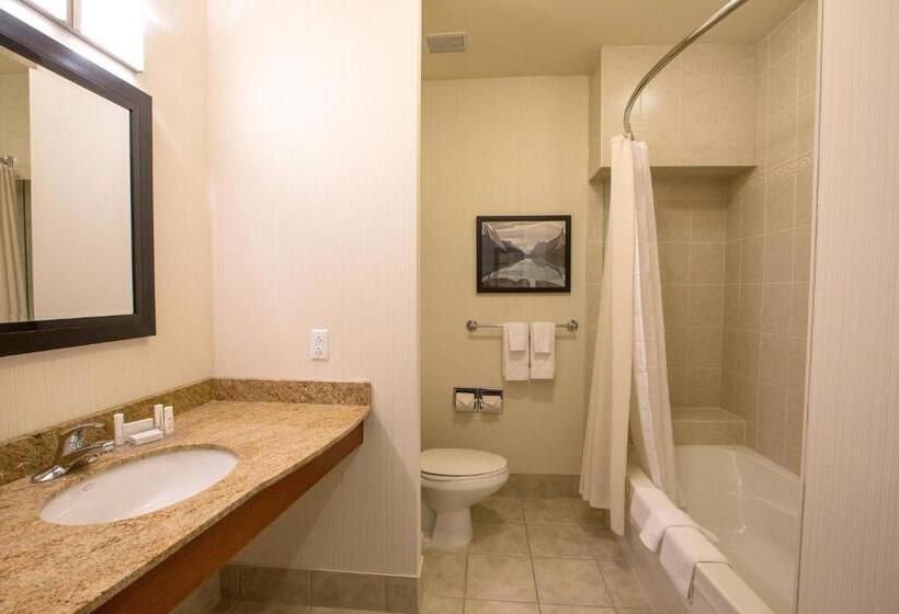 シングルデラックスルーム, Courtyard By Marriott St. John S Newfoundland