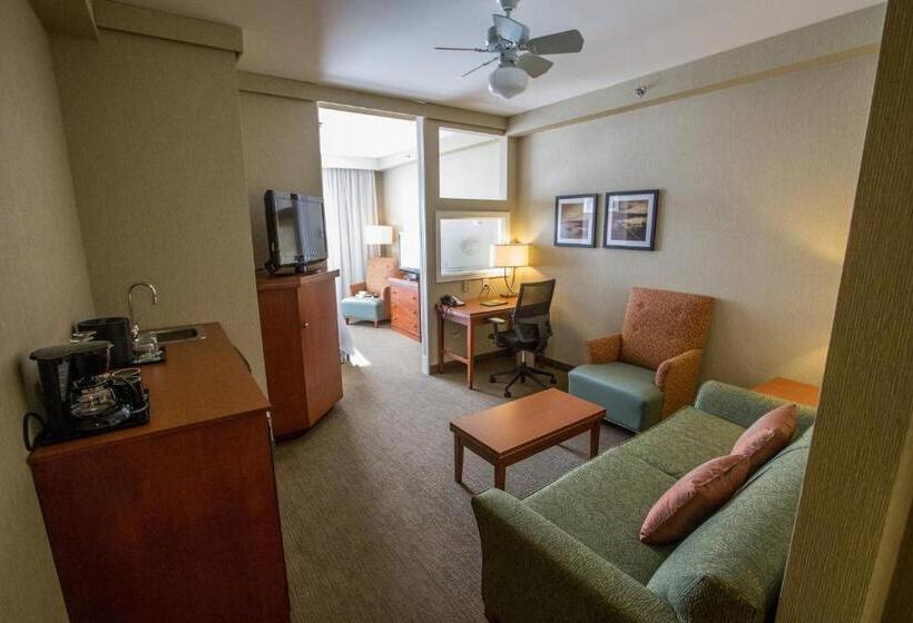 景色の見えるジュニアスイート, Courtyard By Marriott St. John S Newfoundland