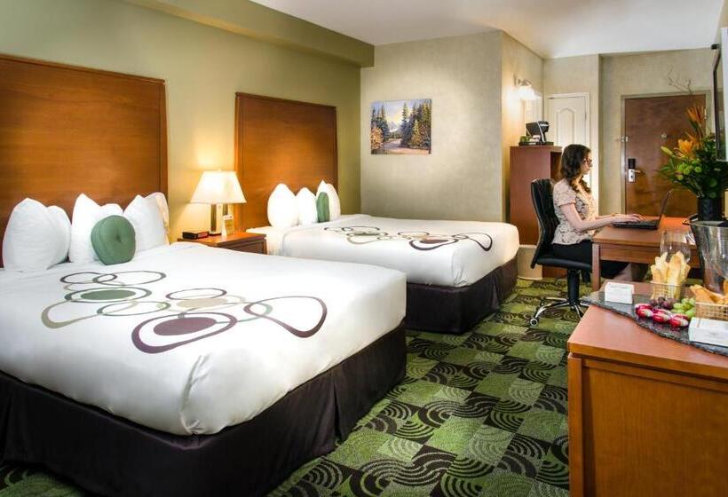 חדר סטנדרט, Deerfoot Inn And Casino