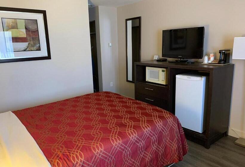 标准间, Econo Lodge Inn & Suites