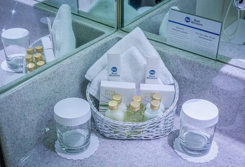 اتاق کلاس بیزنس, Best Western Macrander Hotel Frankfurt/kaiserlei