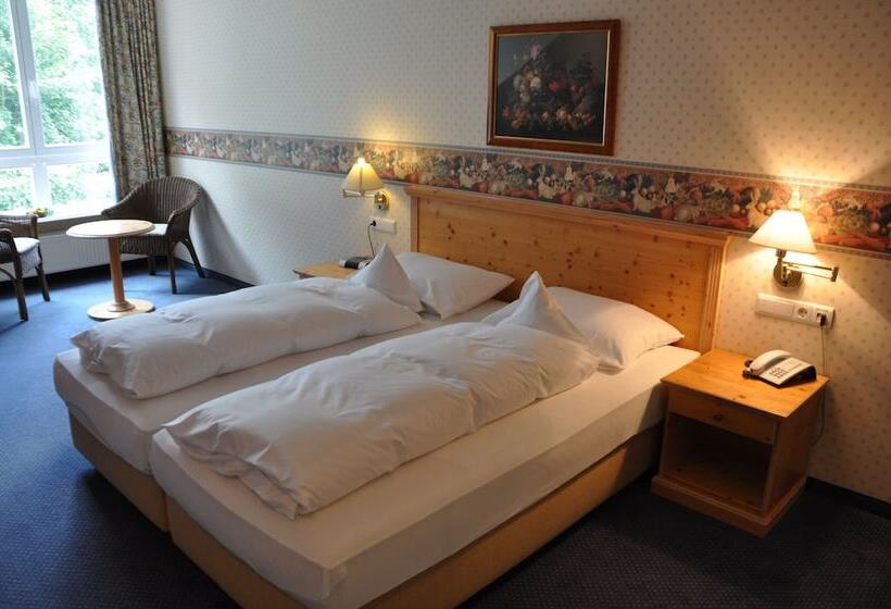 スタンダードルーム, Emsland Hotel Saller See