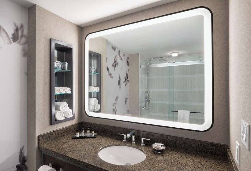 Номер Стандарт 2 Двуспальные Кровати, Hyatt Regency Coralville